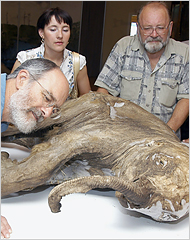 mammoth